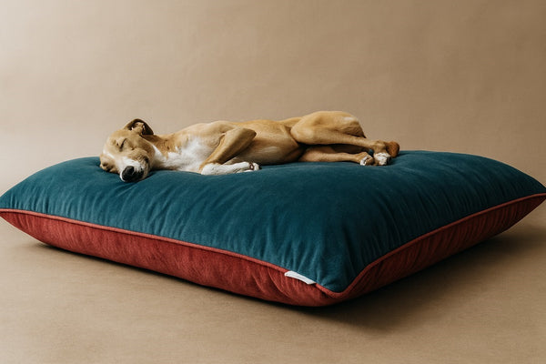 TD2007 Puppy sleeping pad (Made to order )
