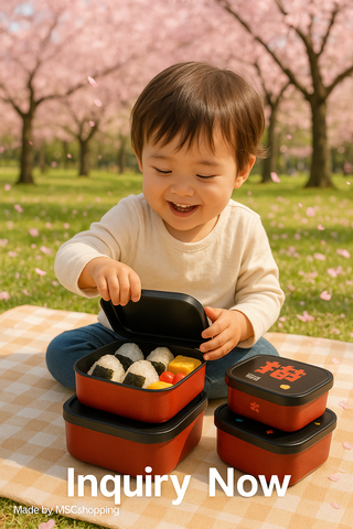 S4-488 Set of 4 SQ. Multi Lunch & Snack box set