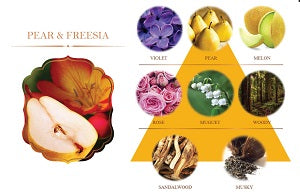 3445409 REED DIFFUSER 100ml. (MADE TO ORDER =300 PCS)