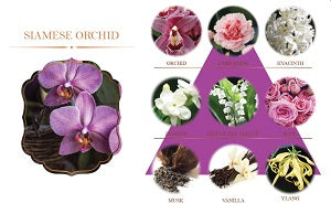 3445410 REED DIFFUSER 100ml. (MADE TO ORDER =300 PCS)