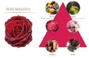 3445408 REED DIFFUSER 100ml. (MADE TO ORDER =300 PCS)