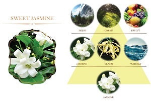 3445407 REED DIFFUSER 100ml. (MADE TO ORDER =300 PCS)