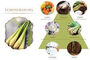 3445406 REED DIFFUSER 100ml. (MADE TO ORDER =300 PCS)