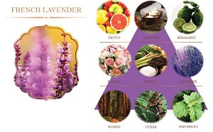 3445406 REED DIFFUSER 100ml. (MADE TO ORDER =300 PCS)