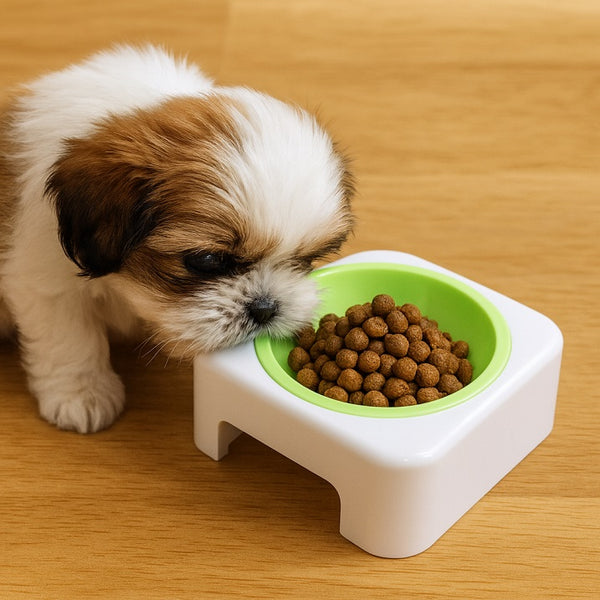 SET 3 PET BOWL (SET : T01+B02 ) 100% Melamine  FDA GRADEPET